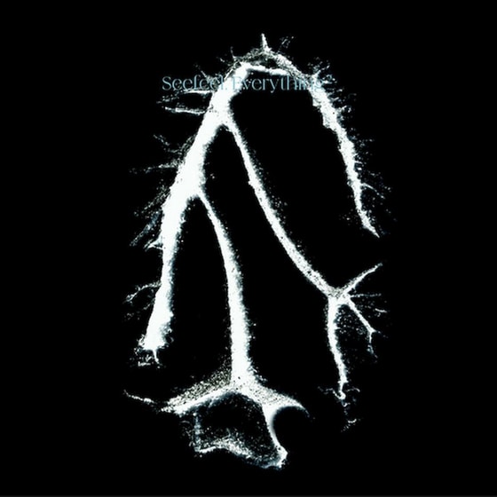 Everything Sqared (LP) image 0