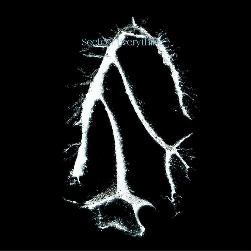 Everything Sqared (LP)