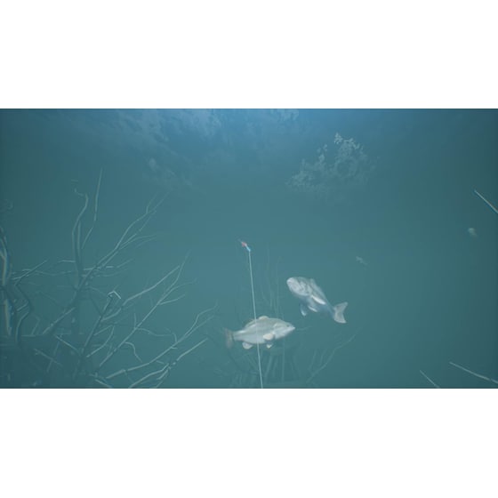 Bassmaster Fishing 2022 Deluxe Edition - PS4 image 7