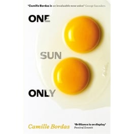 One Sun Only