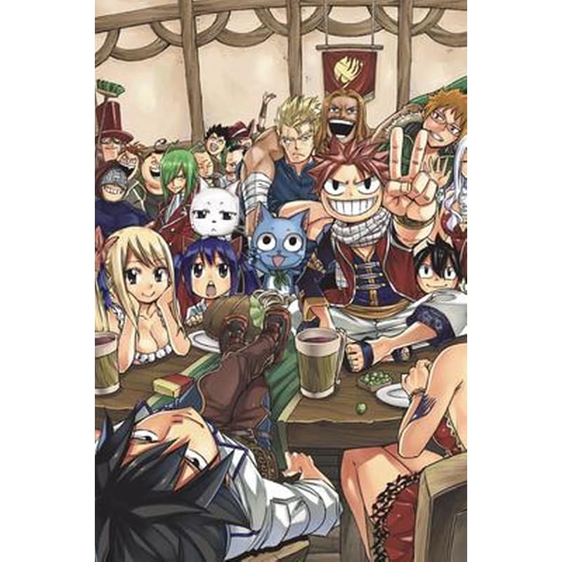 FAIRY TAIL Manga Box Set 5