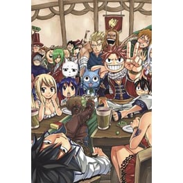 FAIRY TAIL Manga Box Set 5