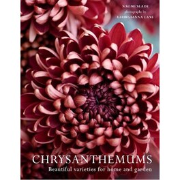 Chrysanthemums