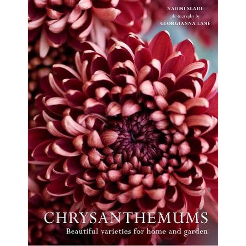 Chrysanthemums