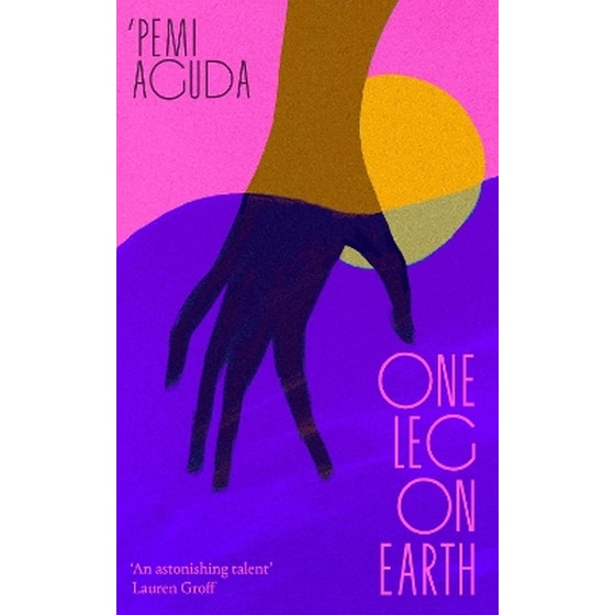 One Leg on Earth image 0