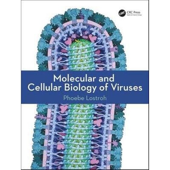 Molecular and Cellular Biology of Viruses image 0