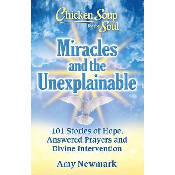 Chicken Soup for the Soul: Miracles and the Unexplainable : 101 Stories of Hope, Answered Prayers, and Divine Intervention image 0