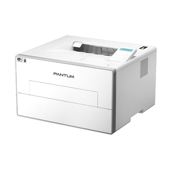 Pantum Laser BP4200DW Ασπρόμαυρος Εκτυπωτής Laser A4 Mono με WiFi, Ethernet image 2
