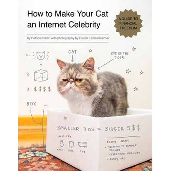 How To Make Your Cat An Internet Celebrity image 0