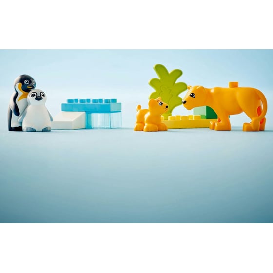 LEGO® DUPLO® Οικογένειες Άγριων Ζώων Πιγκουίνοι & Λιοντάρια (10442) image 7