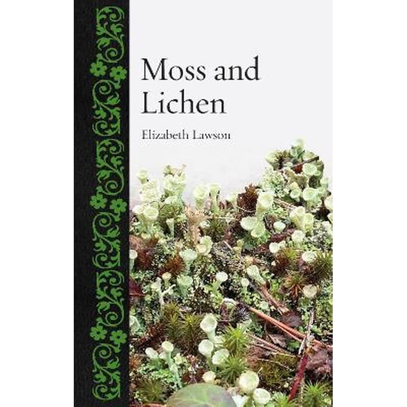 Moss and Lichen