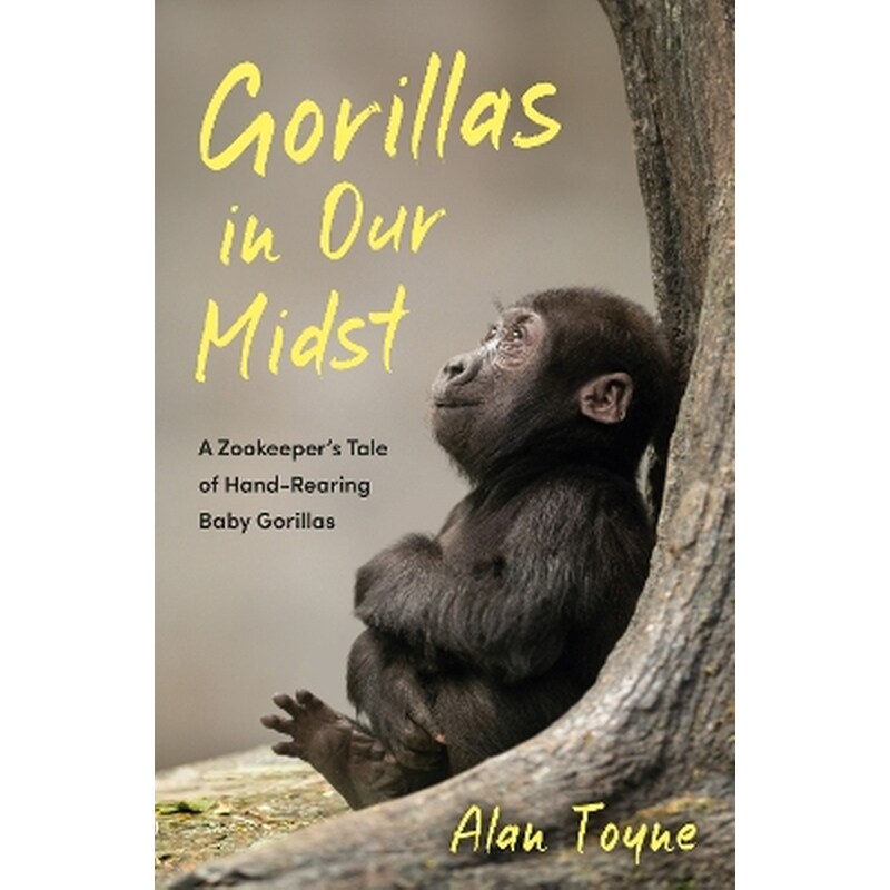 Gorillas in Our Midst