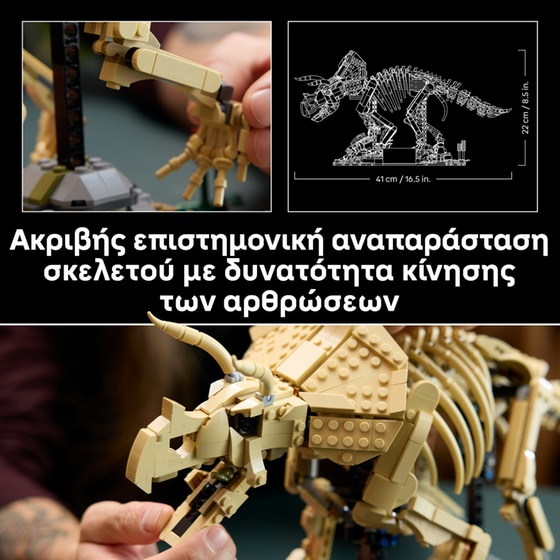 LEGO® Jurassic World Απολιθώματα Δεινοσαύρων: Τρικεράτοπας (77985) image 3