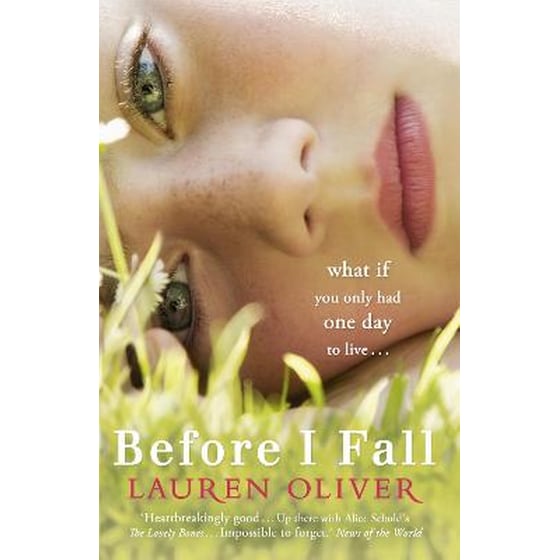 Before I Fall image 0