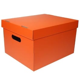 Κουτί Αποθήκευσης Νext Colors Α4 Υ19x30x25.5 cm - Πορτοκαλί