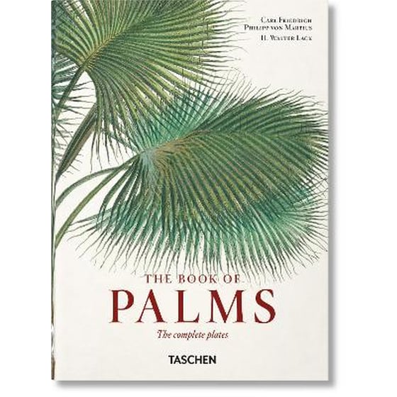 Martius. The Book of Palms. 40th Edition image 0