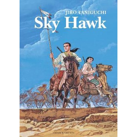Sky Hawk image 0