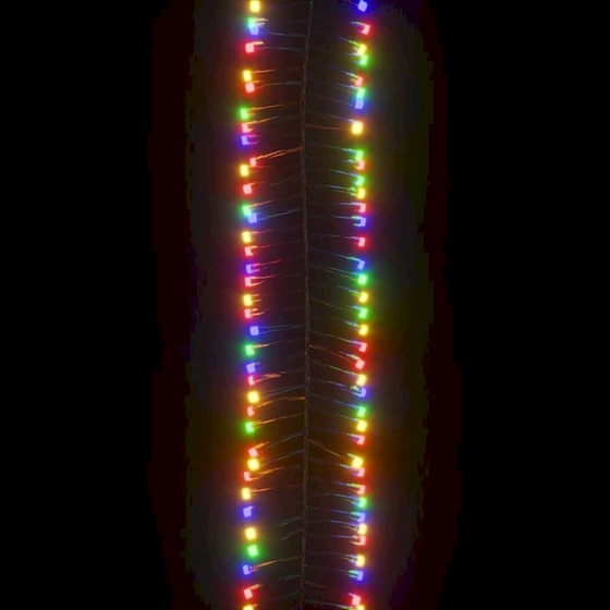 Λάμπακια Cluster Vidaxl Με 1000 LED 11m Από PVC - Πολύχρωμα image 6