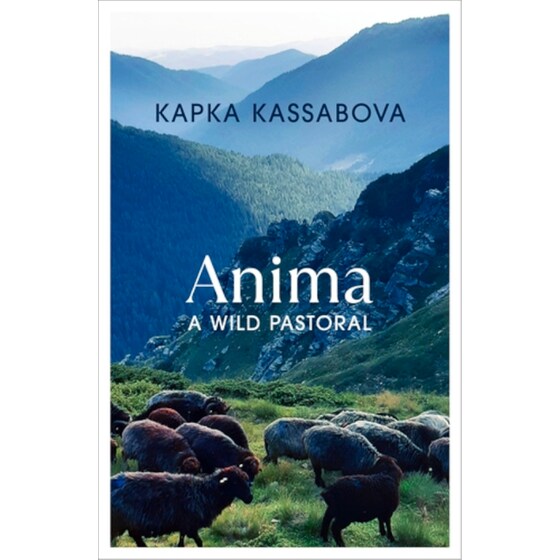 Anima image 0
