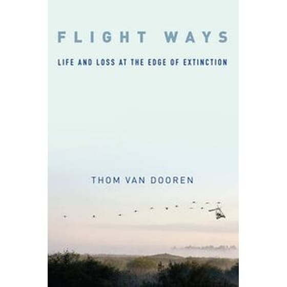 Flight Ways image 0