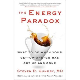 The Energy Paradox : What to Do When Your Get-Up-and-Go Has Got Up and Gone