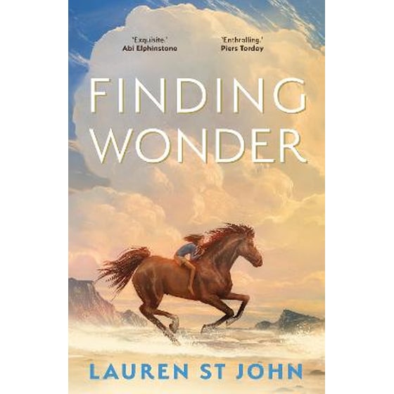 Finding Wonder image 0