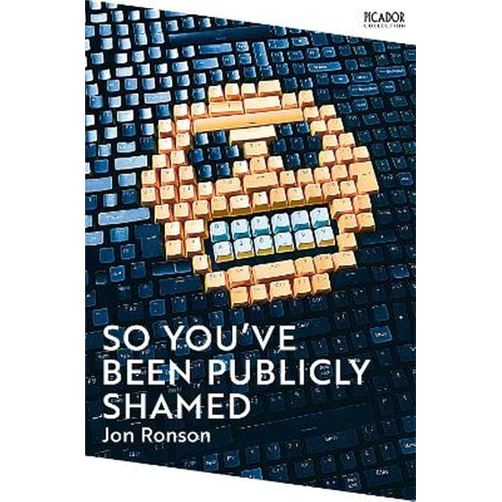 So You've Been Publicly Shamed image 0