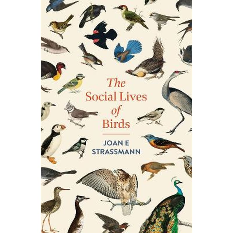 The Social Lives of Birds
