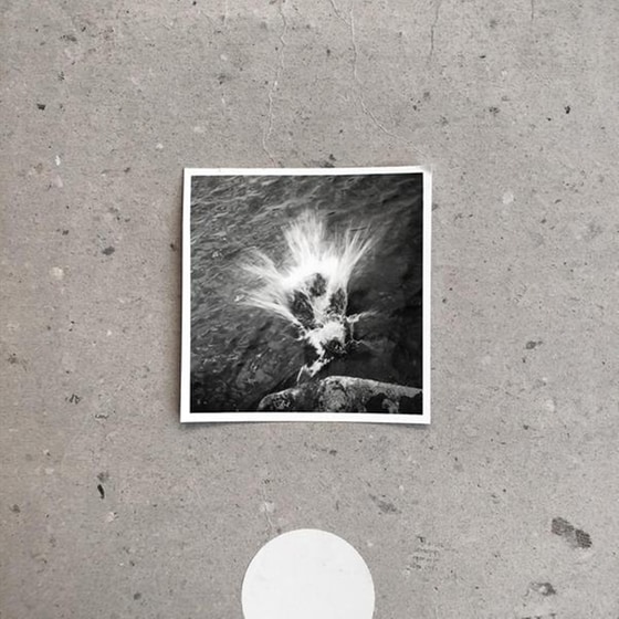 Empty image 0