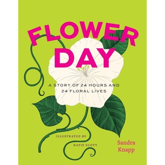 Flower Day image 0