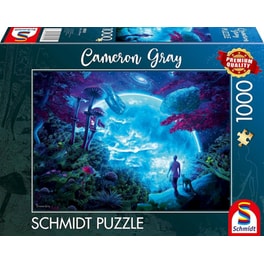 Παζλ Schmidt Celestial Sky (1000 Κομμάτια)