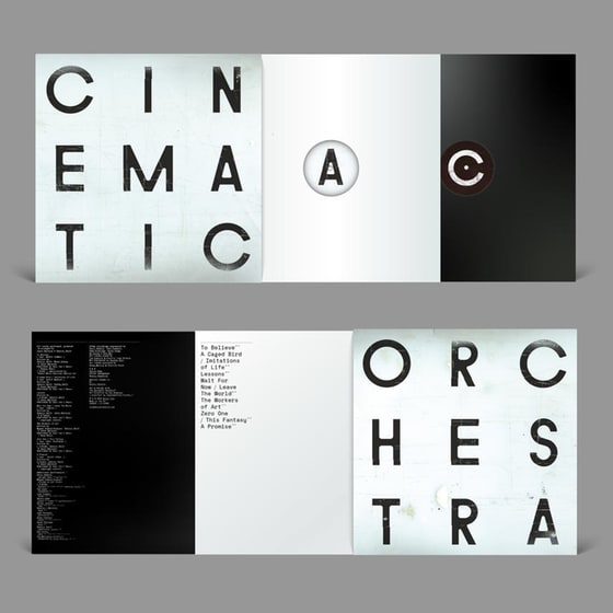 To Believe (Heavyweight 2lp+Mp3) image 3