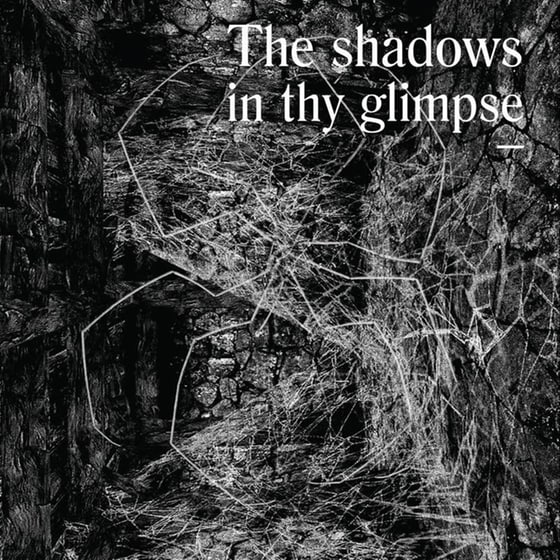 The Shadows In Thy Glimpse: Bedouin Records Selected Discography 2016-2018 image 0