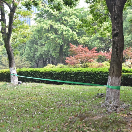 Ιμάντας Ισορροπίας VidaXL Slackline 1500x5 cm - Πράσινο image 1