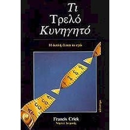 Τι τρελό κυνηγητό