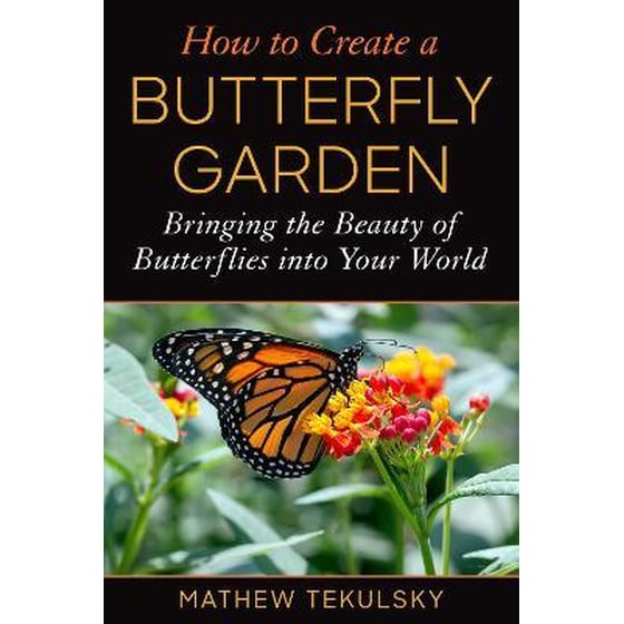 How to Create a Butterfly Garden : Bringing the Beauty of Butterflies into Your World image 0