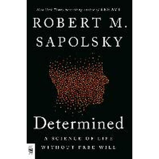 Determined image 0