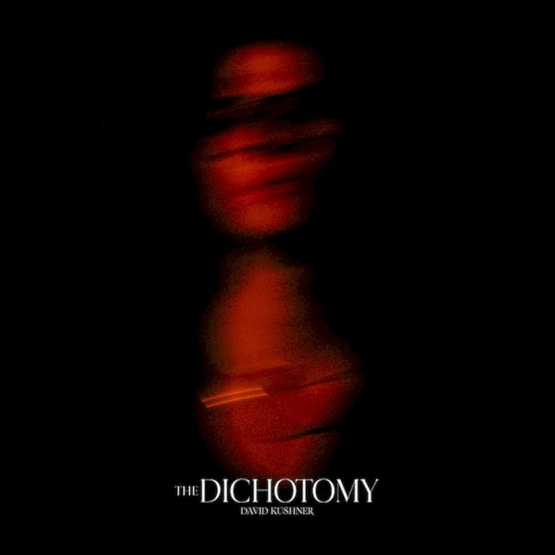 The Dichotomy (2LP)