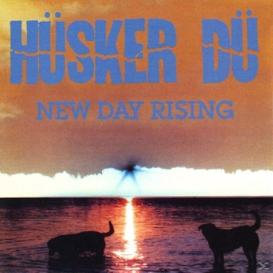 NEW DAY RISING (LP) image 0