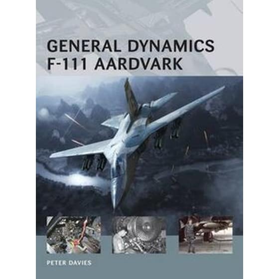 General Dynamics F-111 Aardvark image 0