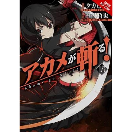 Akame ga Kill!, Vol. 13 image 0