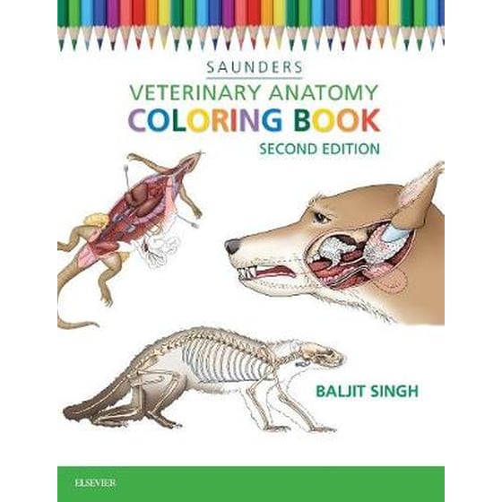 Veterinary Anatomy Coloring Book image 0