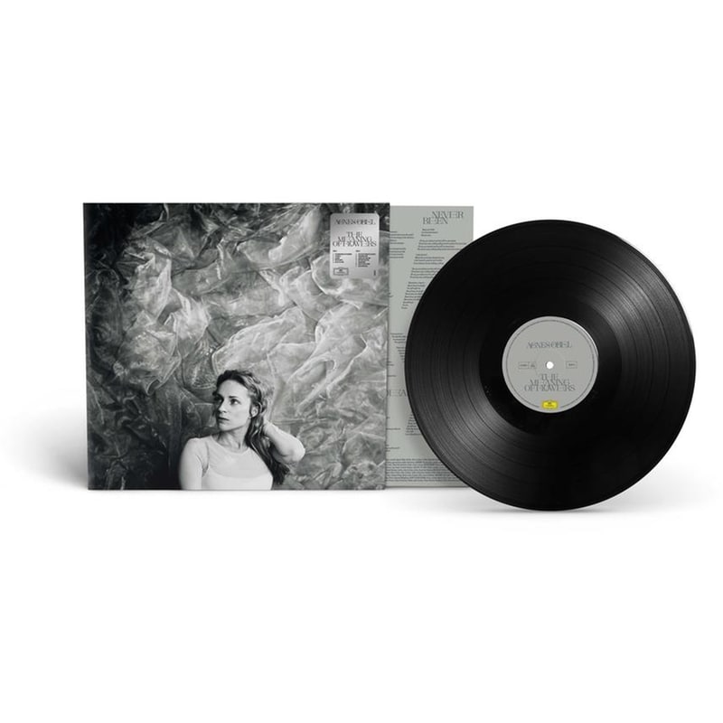 The Meaning Of Flowers (LP)