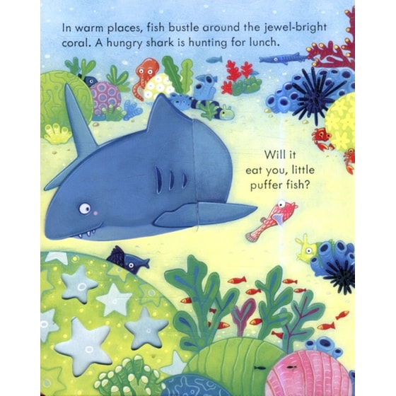 Peep Inside The Sea image 3