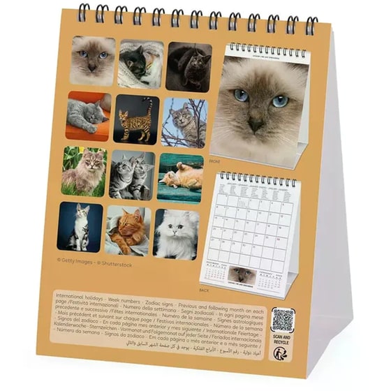 Ημερολόγιο Επιτραπέζιο Legami 2025 Cats 12x14.5cm image 3