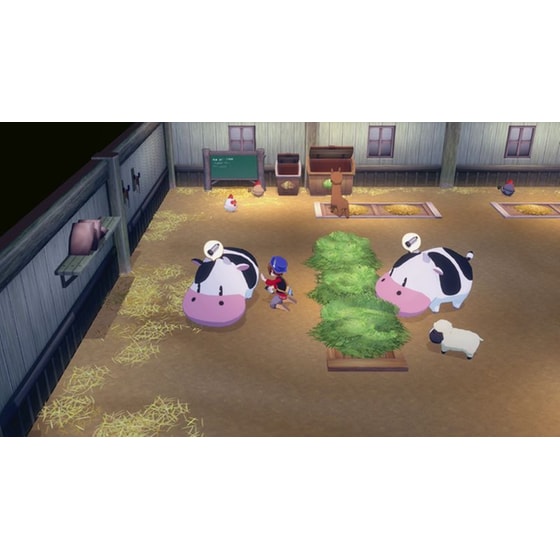 Story of Seasons: Grand Bazaar - Nintendo Switch image 2