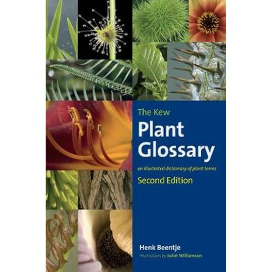 Kew Plant Glossary, The image 0