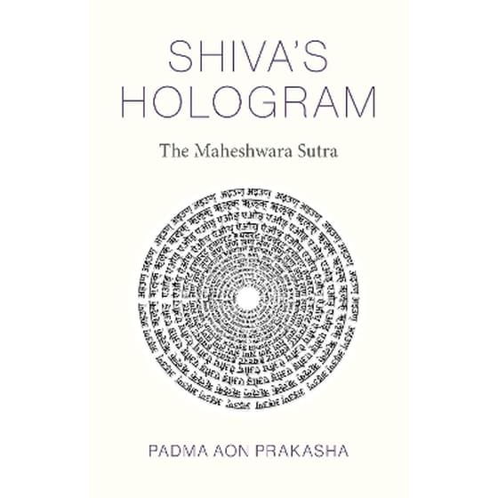 Shiva's Hologram image 0