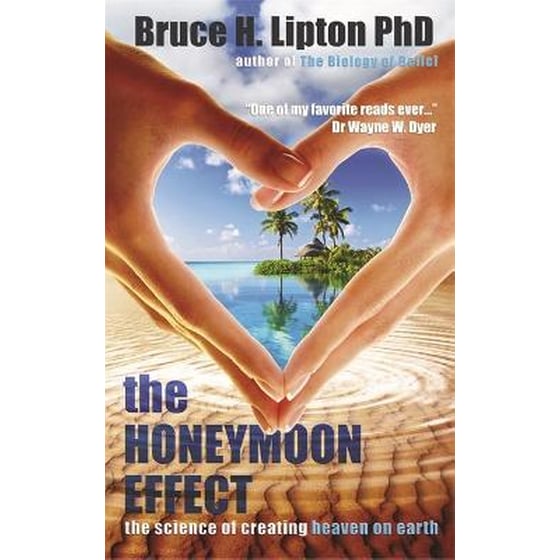 The Honeymoon Effect image 0