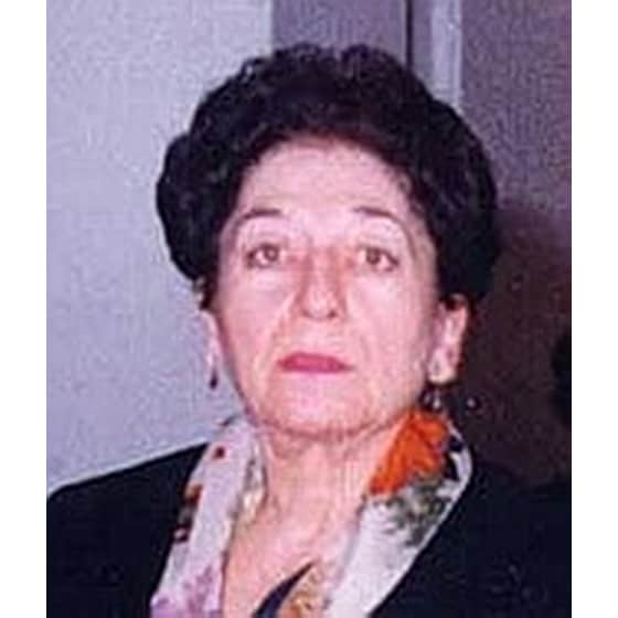 Διαδρομή- δοκίμια κριτικής 1960-1995 image 1